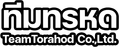 TeamTorahod Text Logo